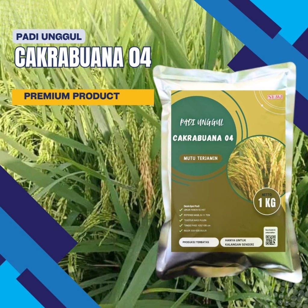 [ 1KG ] Bibit Padi Cakrabuana 04 Produktivitas Tinggi