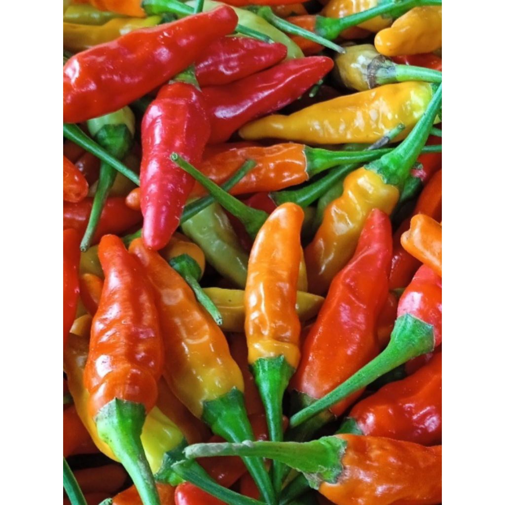 cabai rawit merah 1 kg