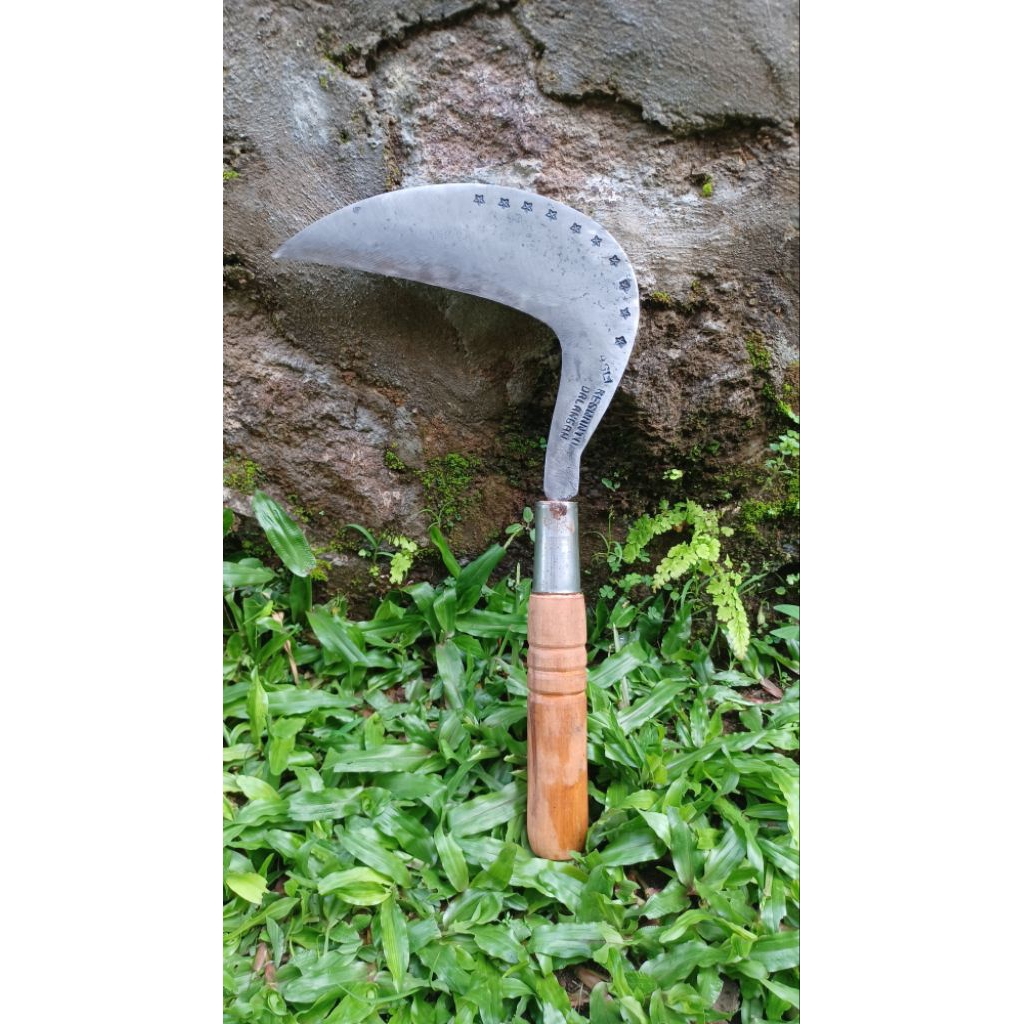 Arit Waja Selap/Baja Selap Baja Isen/Sabit Rumput/Tebal Super Tajam (Model Garut, Model 88, Cikajang