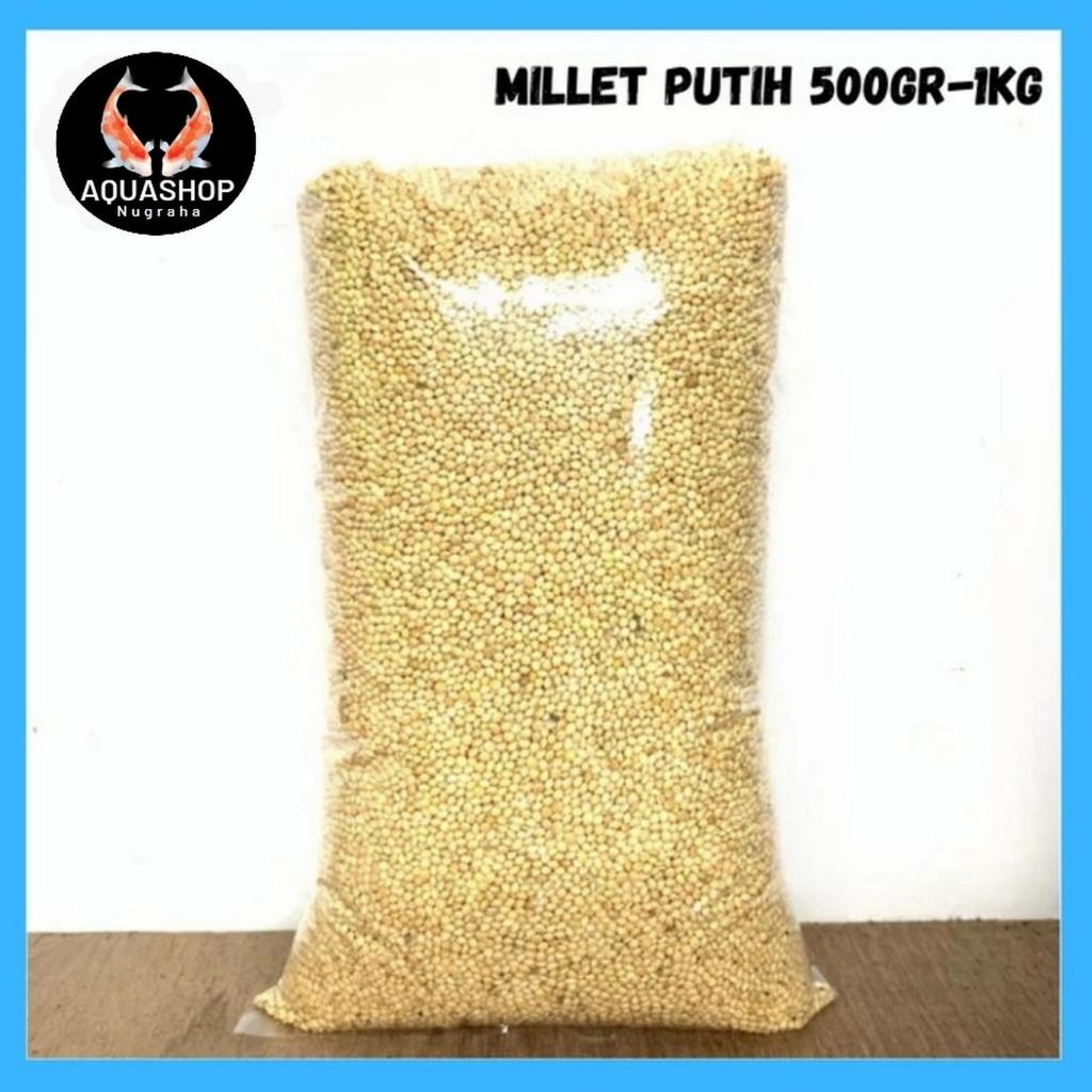 Milet Putih Kiloan 1Kg Pakan Burung Lovebird Falk Parkit Dll