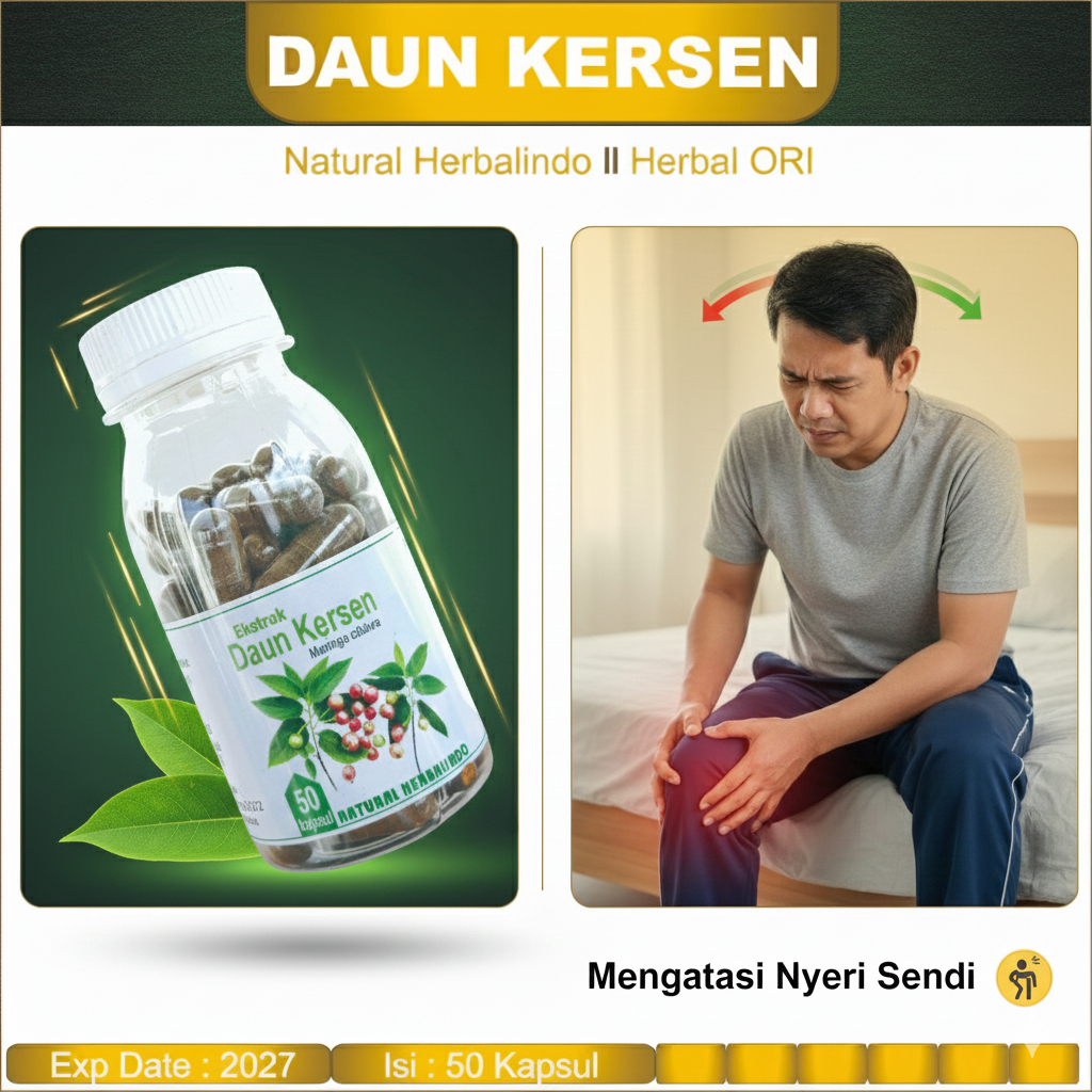 kapsul herbal daun kersen mengatasi nyeri sendi isi 50kapsul