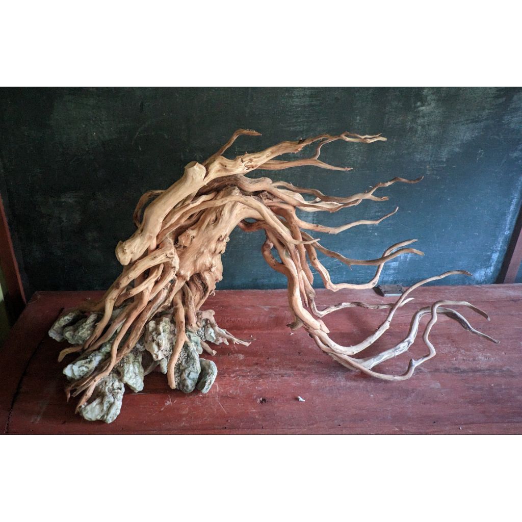 Hardscape aquascape natural kayu tenggelam