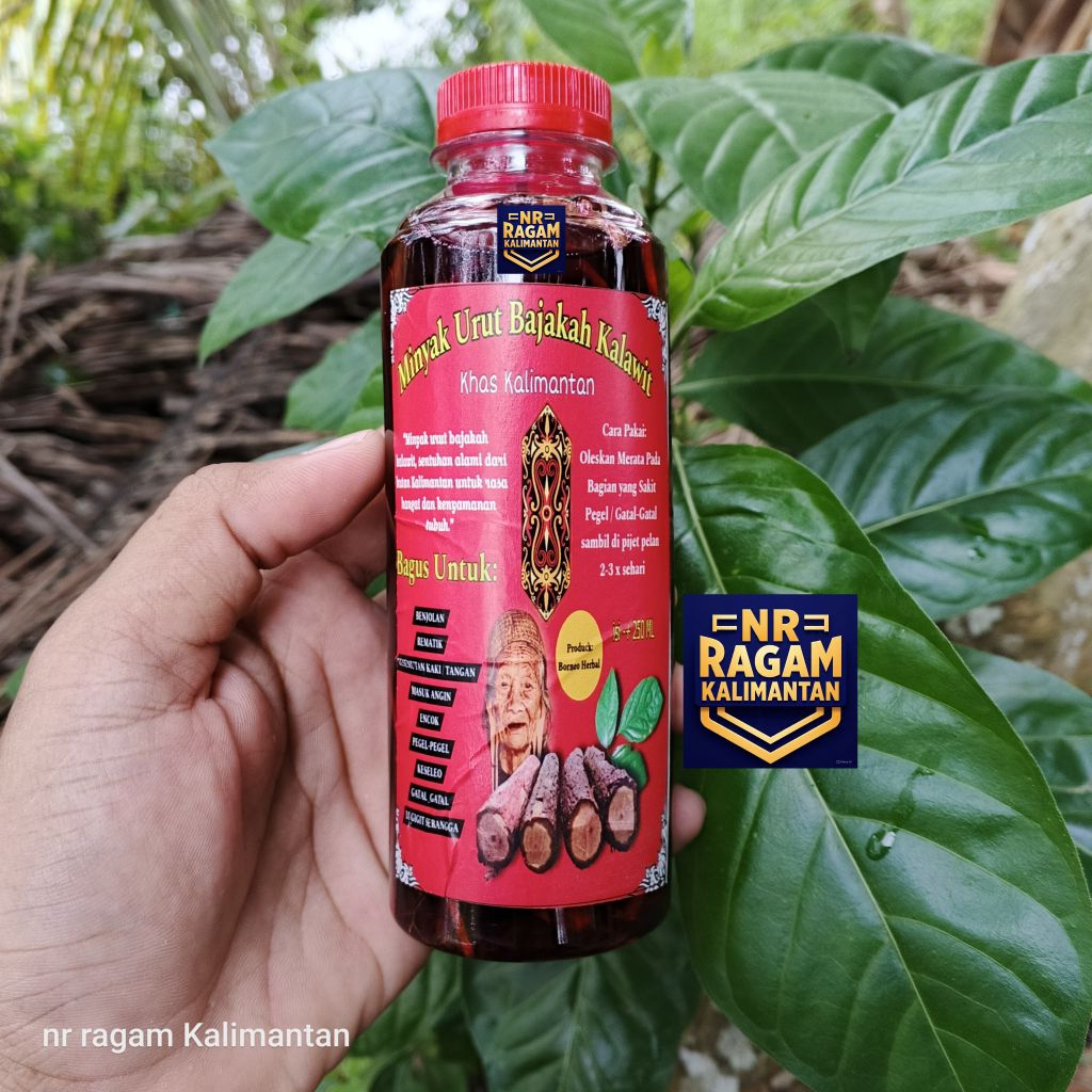 minyak urut bajakah kalawit Kalimantan minyak pijat Kalimantan minyak kalimantan