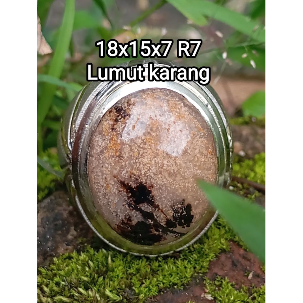 batu lumut/batu kinyang karang/batu garut/batu giok