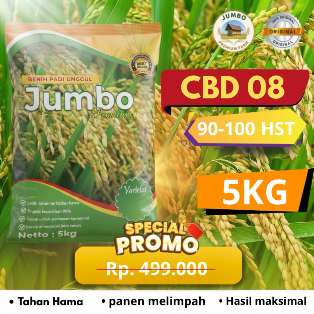 Benih padi CBD 08 benih padi unggul original jumbo premium benih padi berkualitas