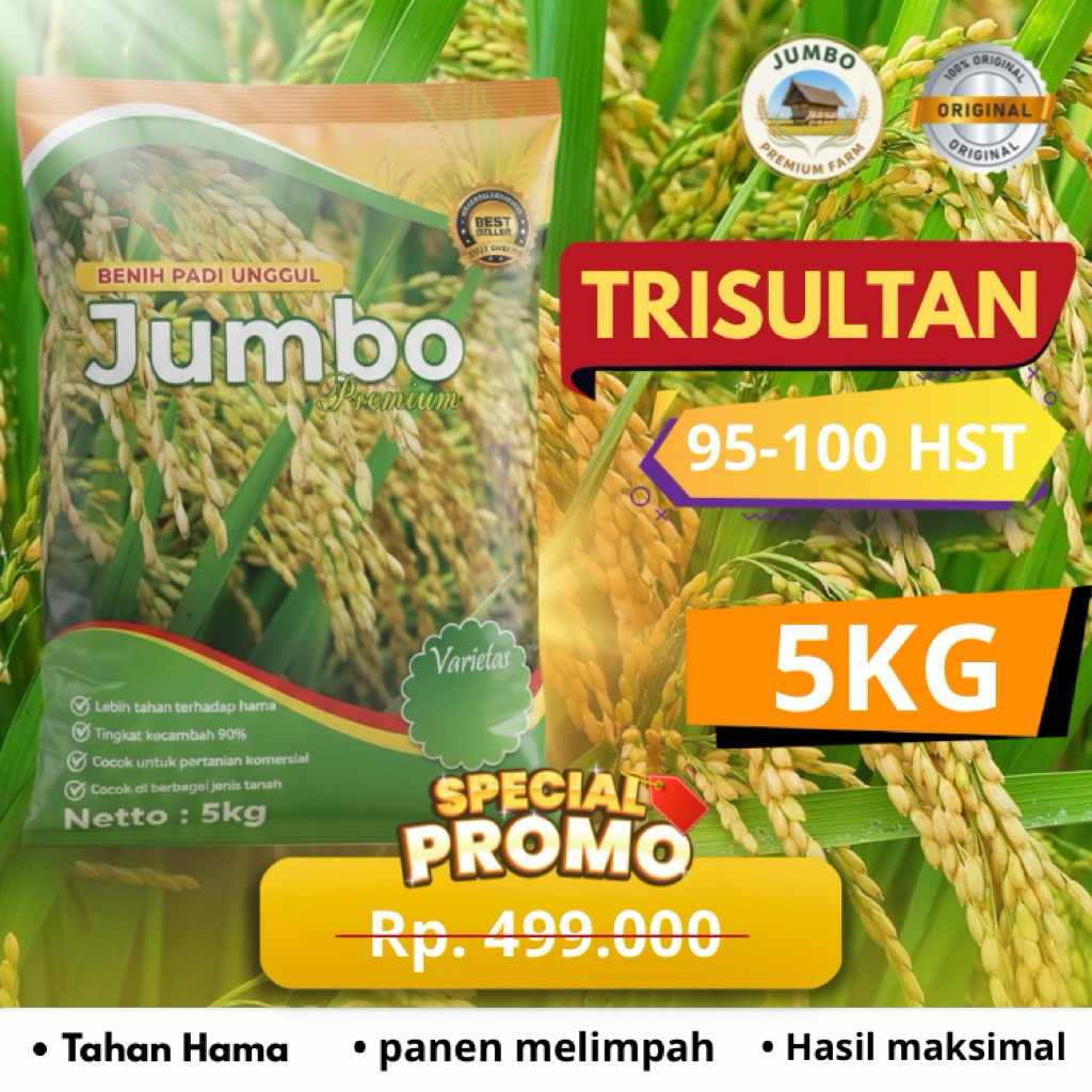 Benih padi TRISULTAN benih padi unggul original jumbo premium benih padi berkualitas