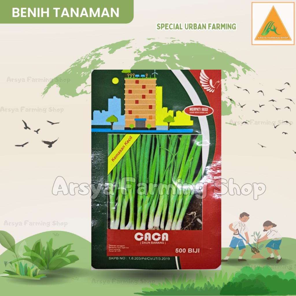 BENIH DAUN BAWANG CACA 500 BIJI - MERPATI SEED