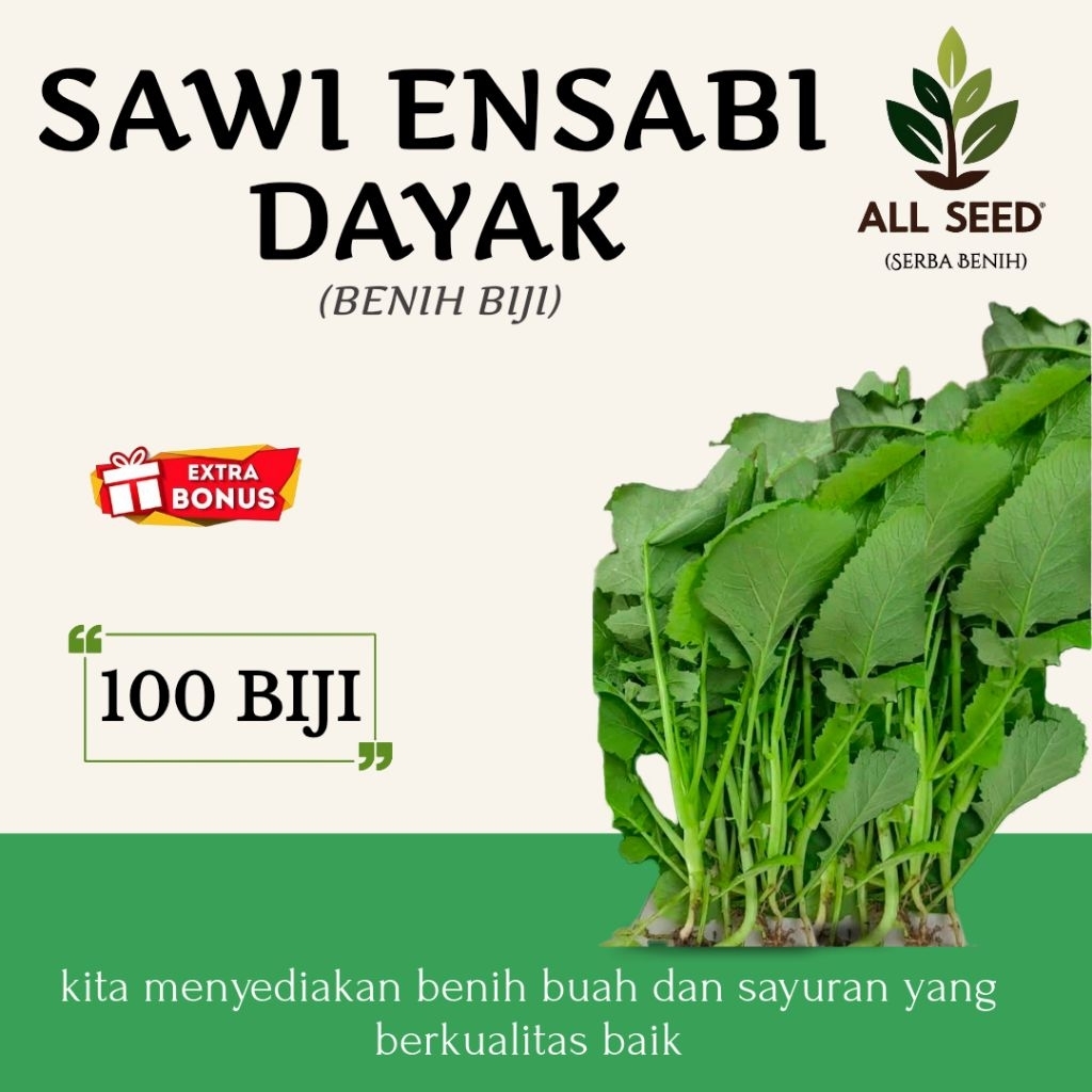( 100 biji ) Benih sawi ensabi dayak | bibit biji sawi ensabi | sawi kampung | sawi gunung