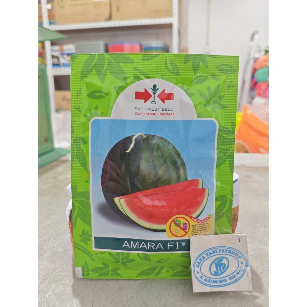 Benih Bibit semangka amara f1 panah merah non biji