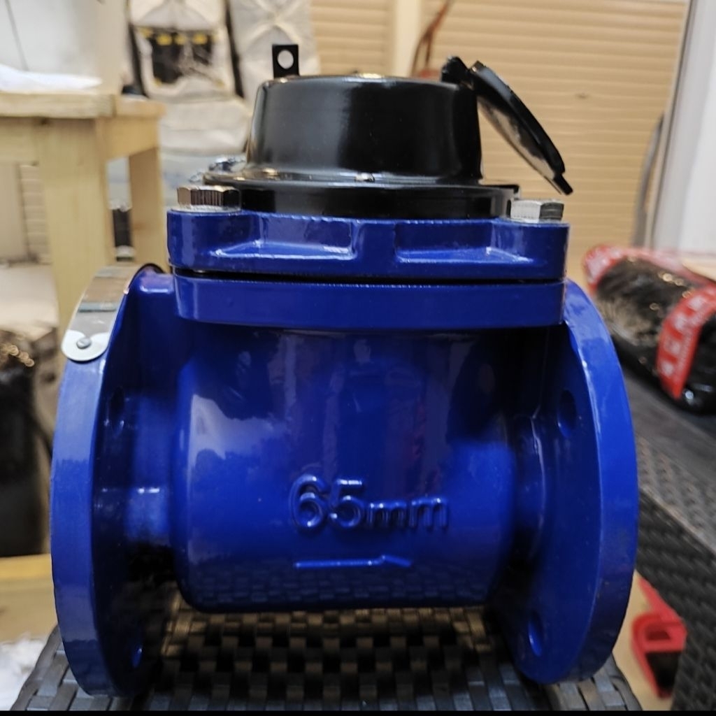 Water Meter Onda 2,5 Inch (DN65) / Meteran Air Onda 2-1/2"