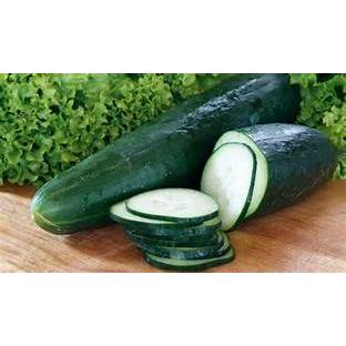 timun zucchini import segar fresh
