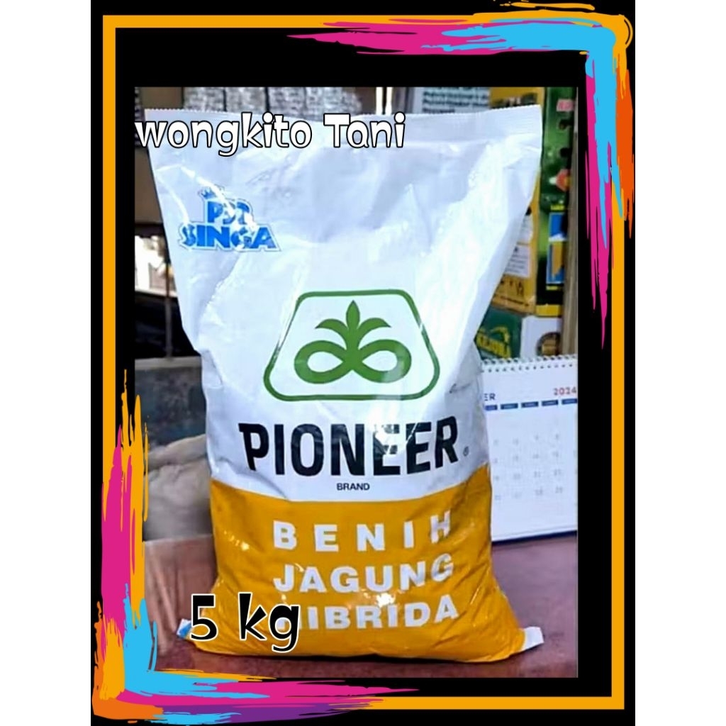 BENIH JAGUNG HIBRIDA P 32 SINGA