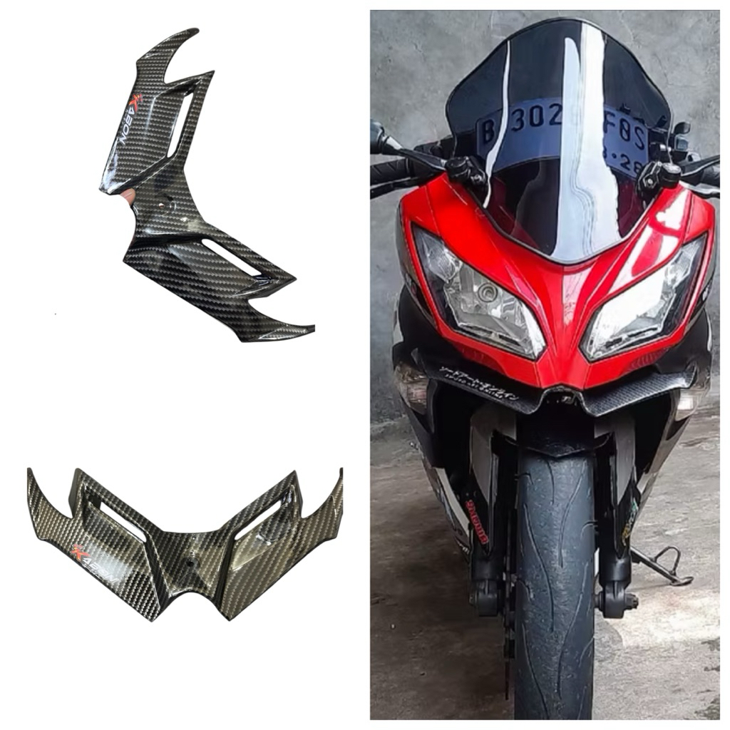 Winglet ninja 250 fi old carbon