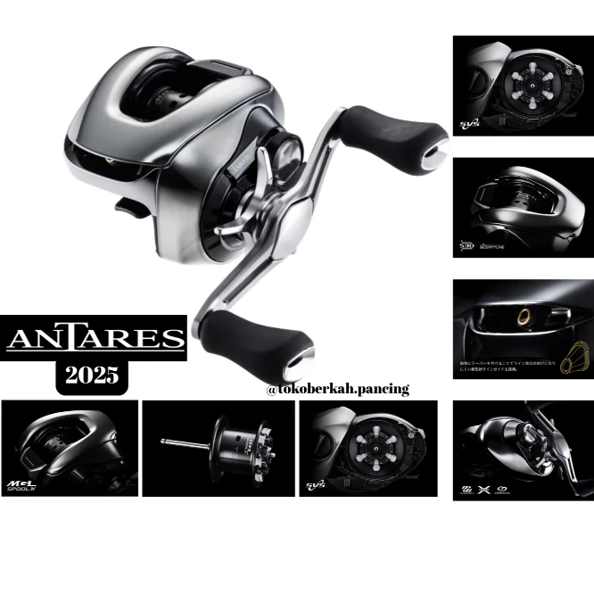 2025 BC SHIMANO ANTARES 101HG 101XG