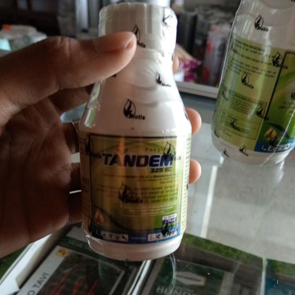 Fungisida Pencegah Patek Tandem