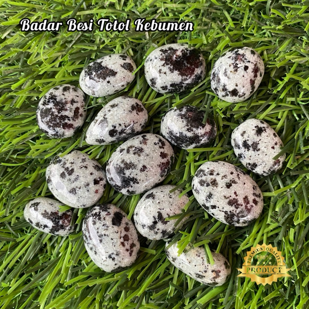 Badar Besi Totol Kebumen