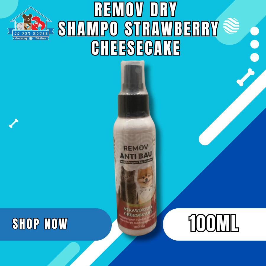 REMOV DRY SHAMPO STRAWBERRY CHEESECAKE 100ML