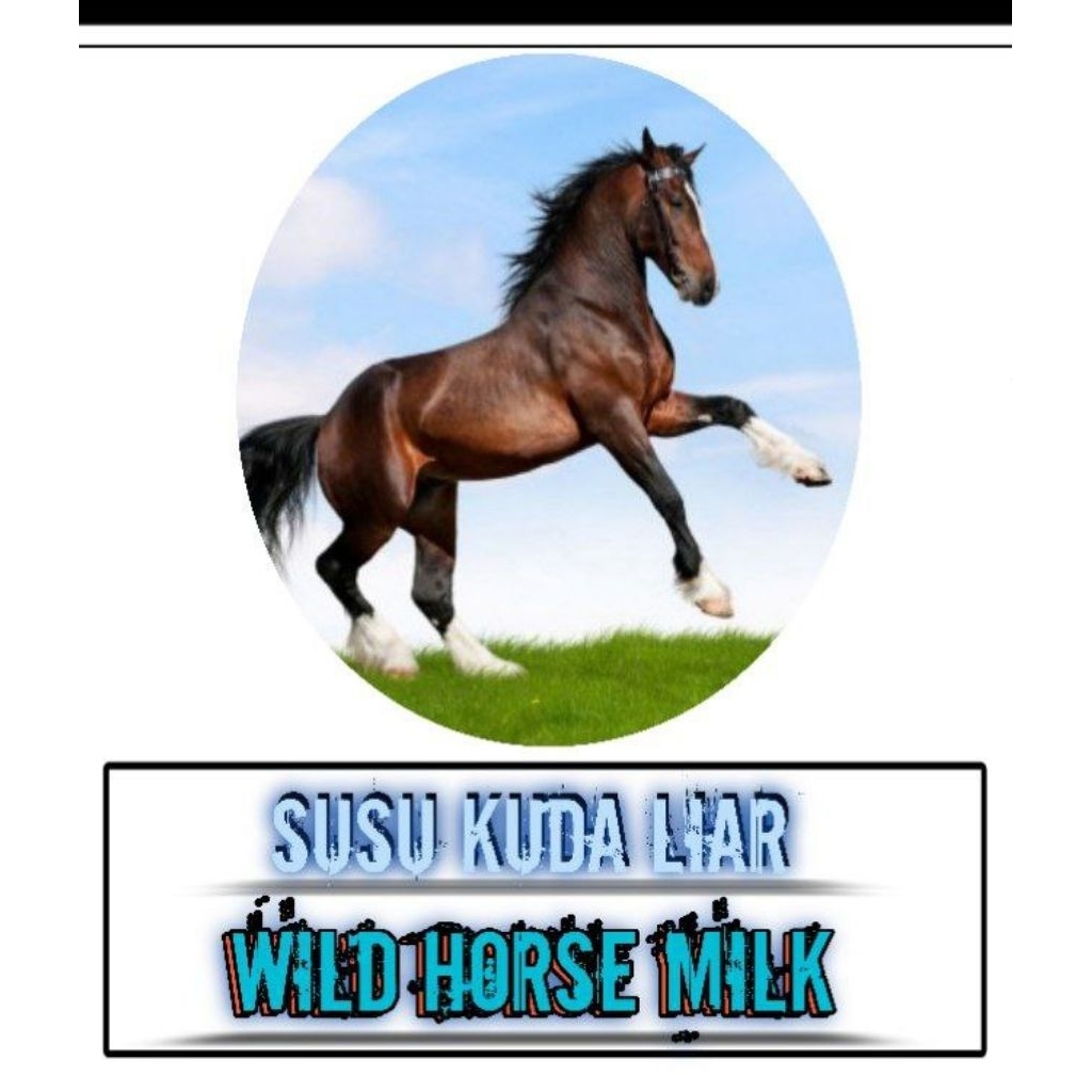 Susu Kuda Sumbawa Asli