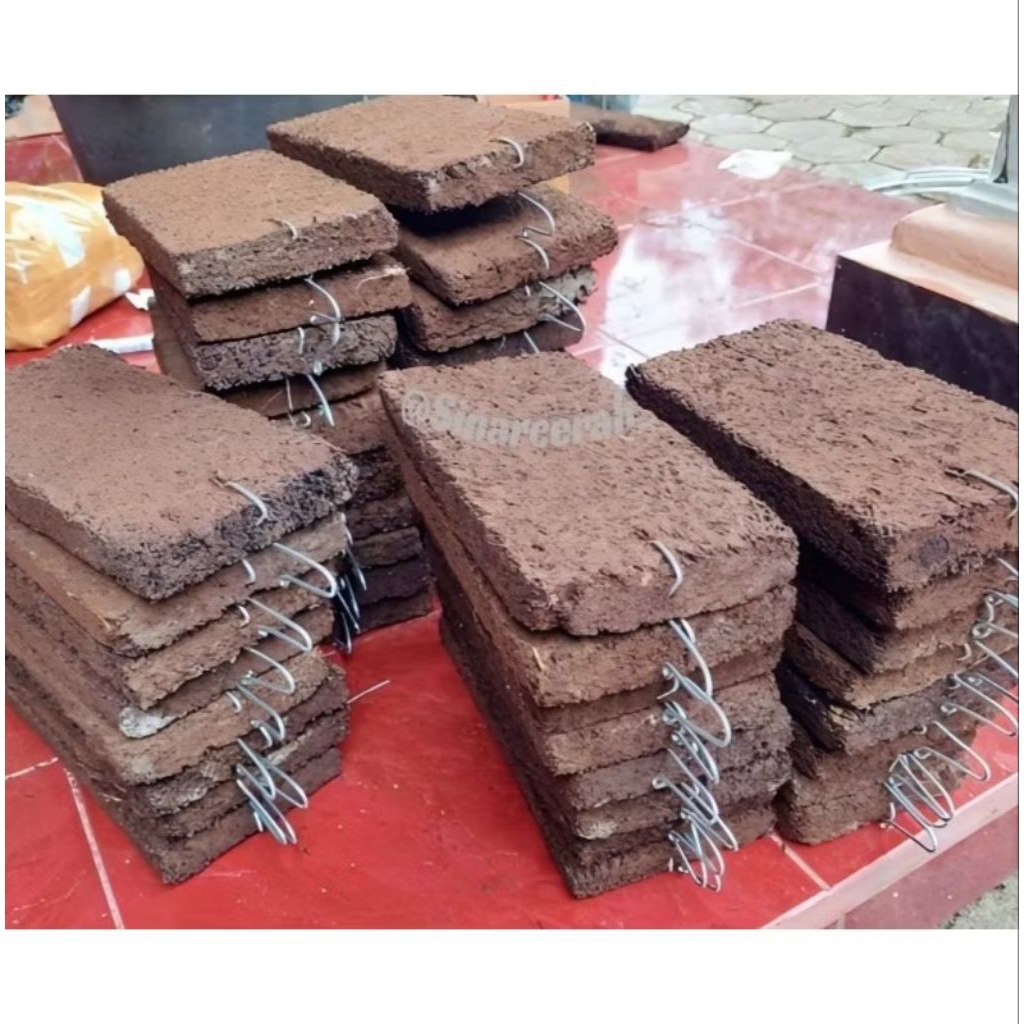 10PCS PAPAN PAKIS/MEDIA TANAM ANGGREK/PAPAN PAKIS PADAT JUMBO UK 10X20 CM + CANTOLAN KAWAT