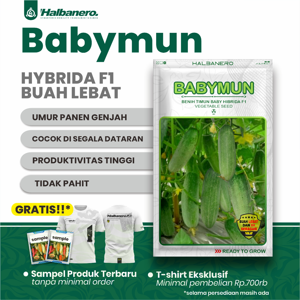 BENIH TIMUN BABYMUN - HALBANERO