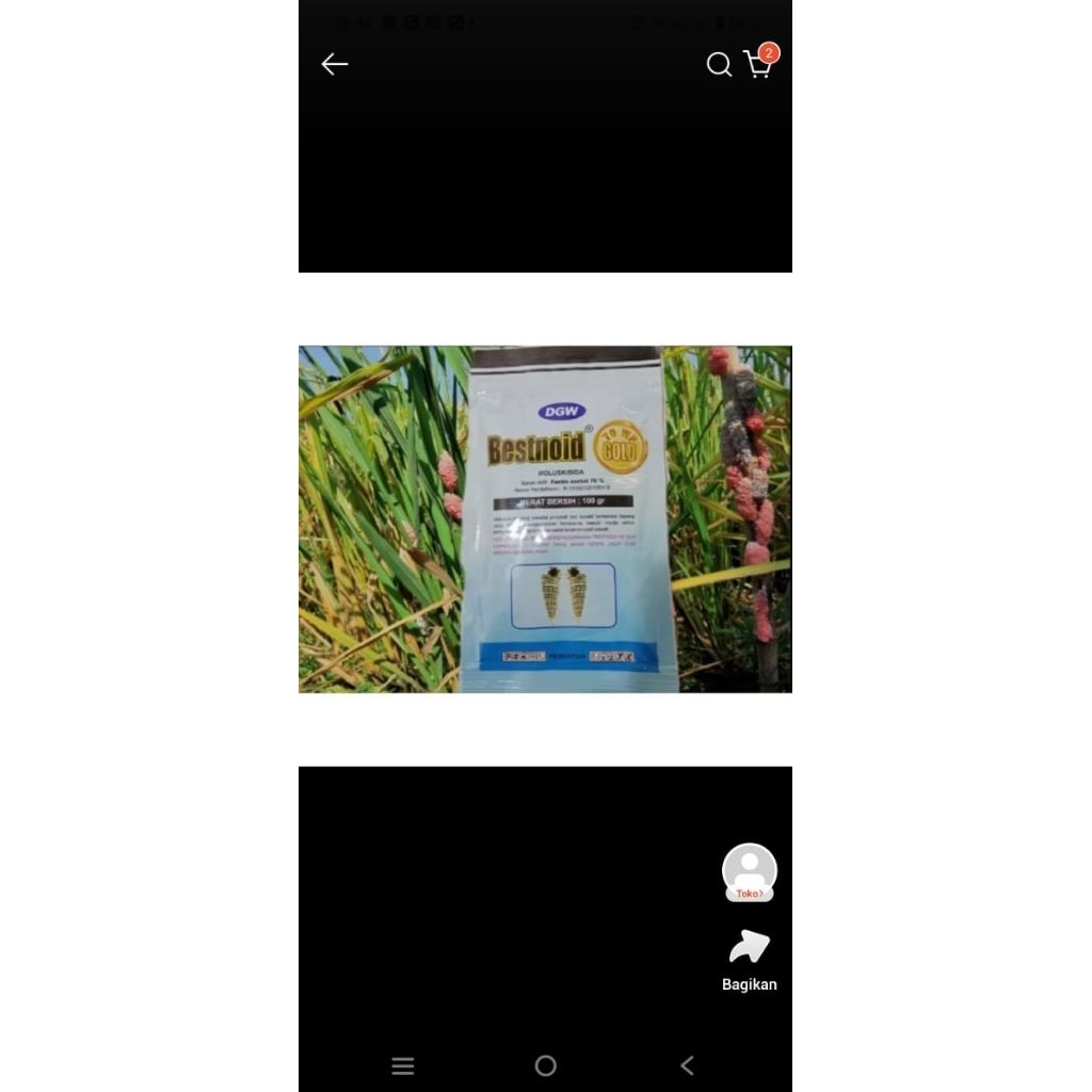 Bestnoid gold 100 gram