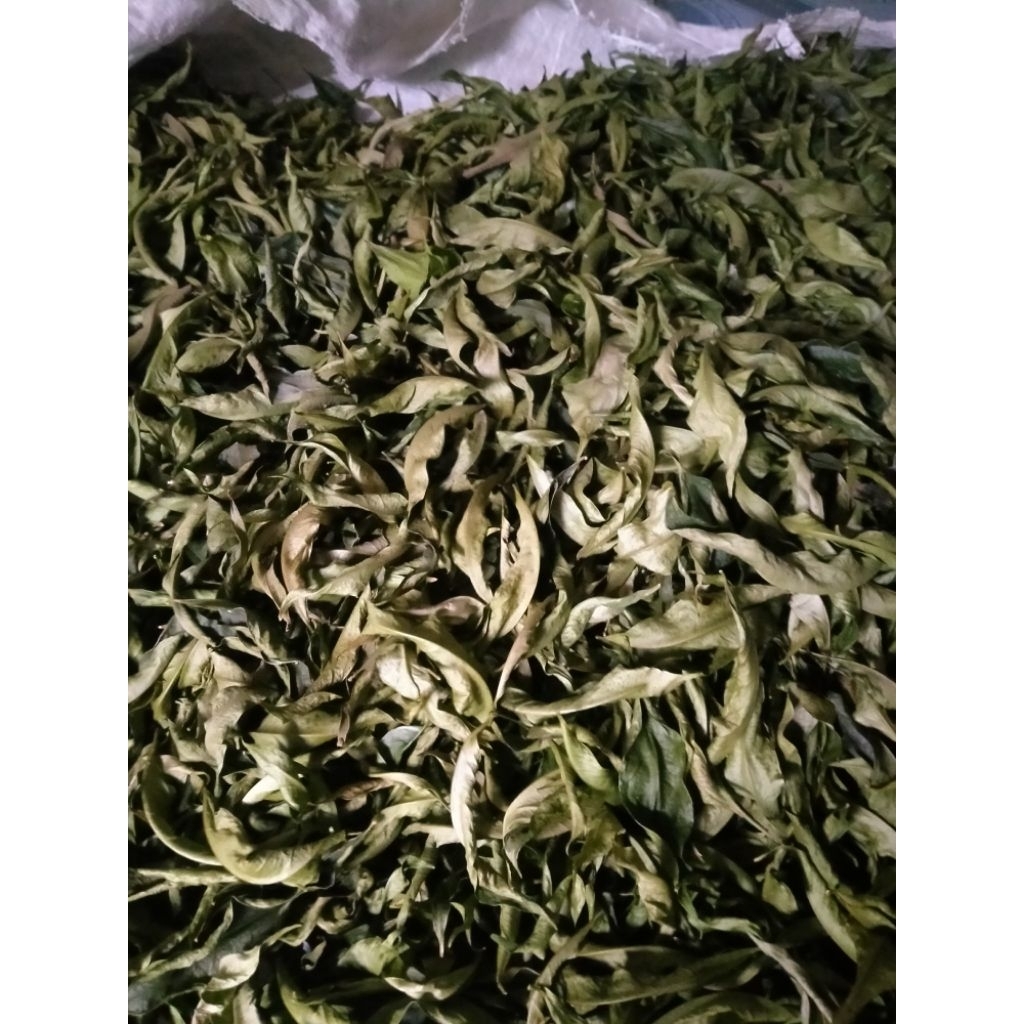 DAUN MAHKOTA DEWA KERING ORIGINAL 100GR