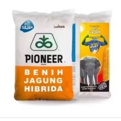 COD BENIH JAGUNG HIBRIDA PIONEER P27 GAJAH LUMIGEN KEMASAN 1KG