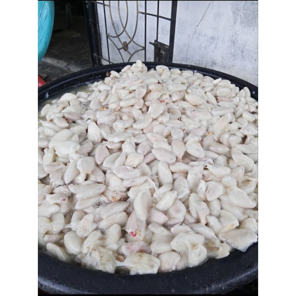 Biji Kakao ijo kajuman 1 kg