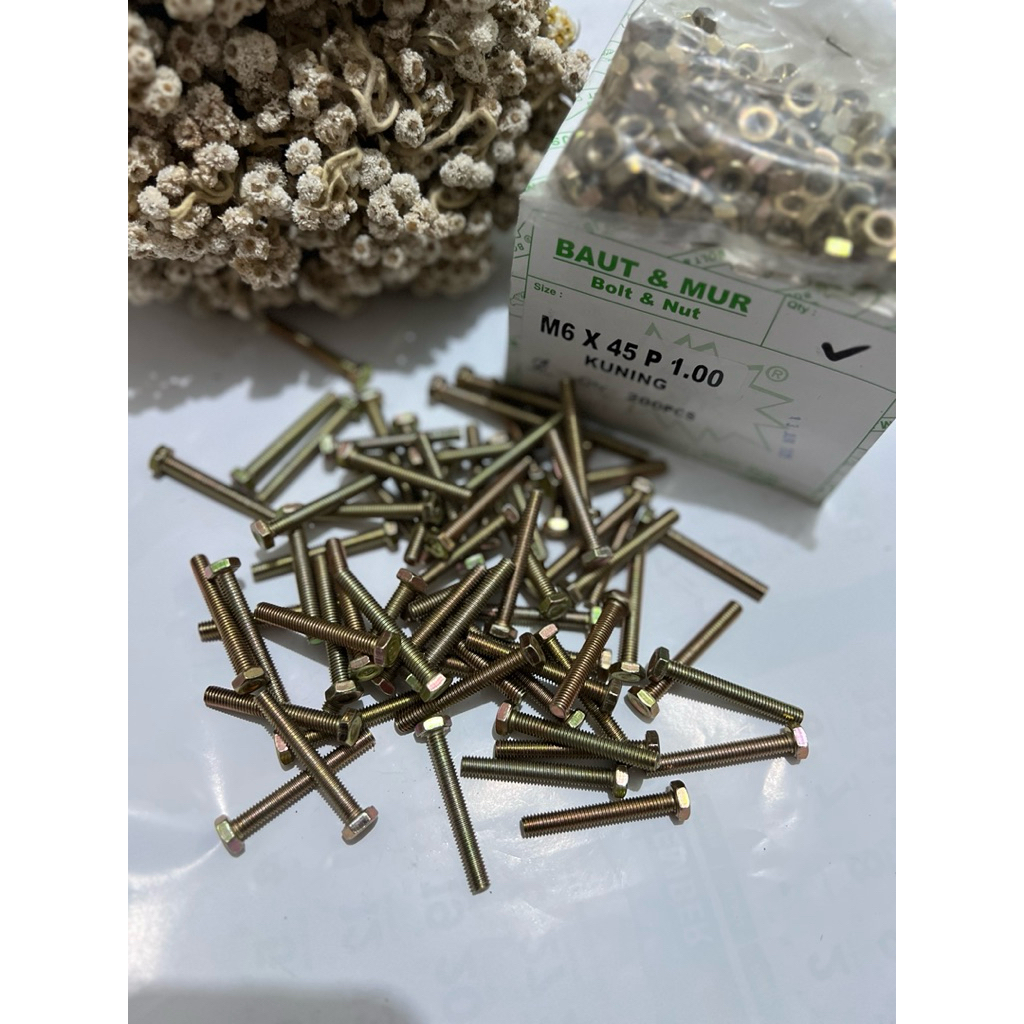 baut m6x 45 isi 200pcs