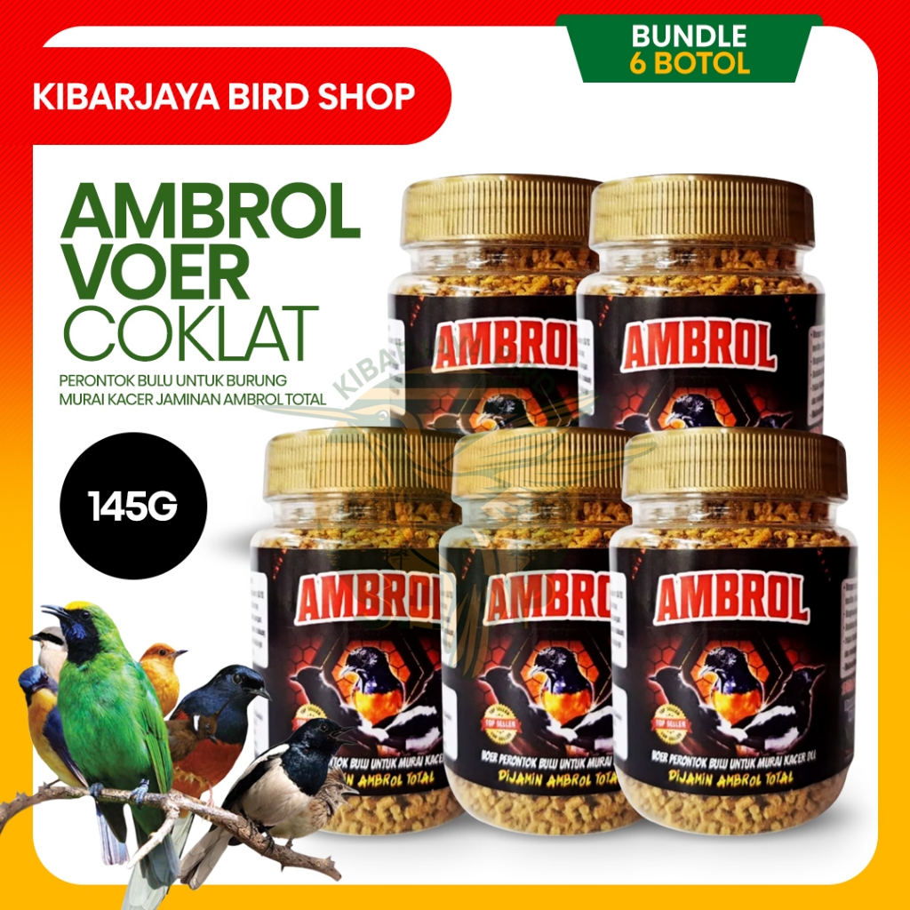 [PROMO 5 BOTOL] AMBROL VOER COKLAT PERONTOK BULU 145G AMBROL TOTAL PERONTOK BULU BURUNG KACER MURAI