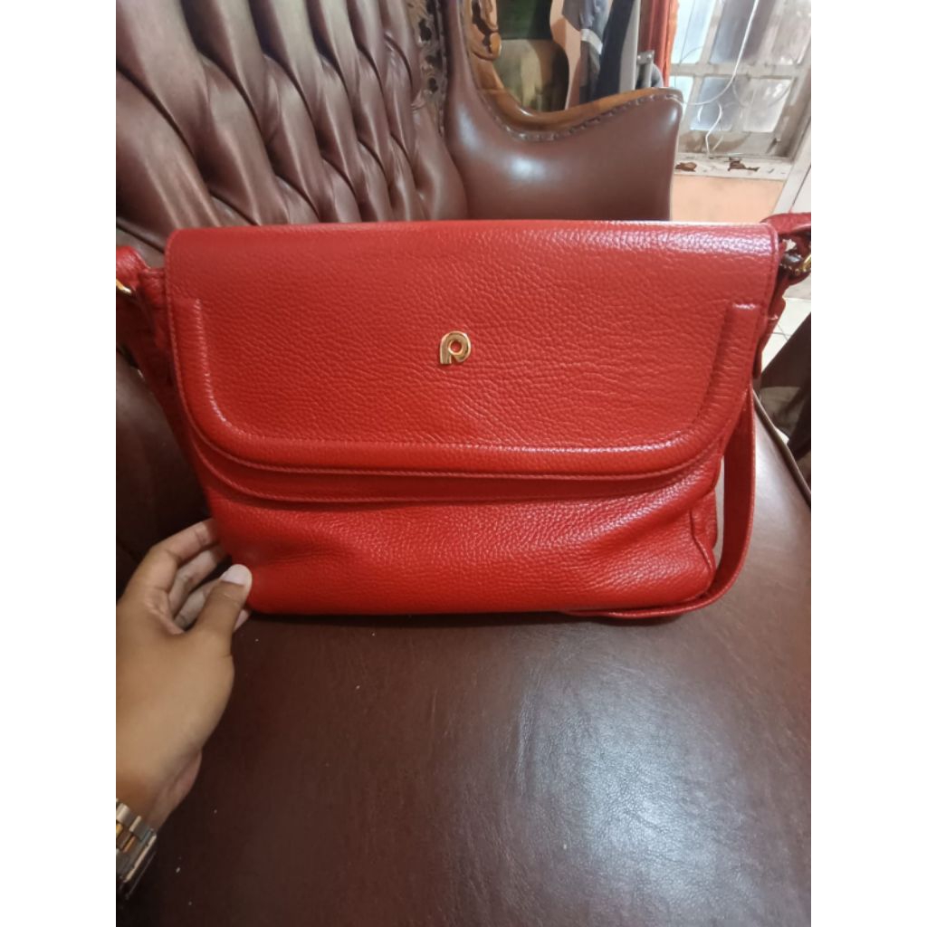 preloved papilon