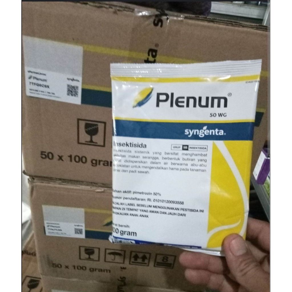 Plenum 100 gr