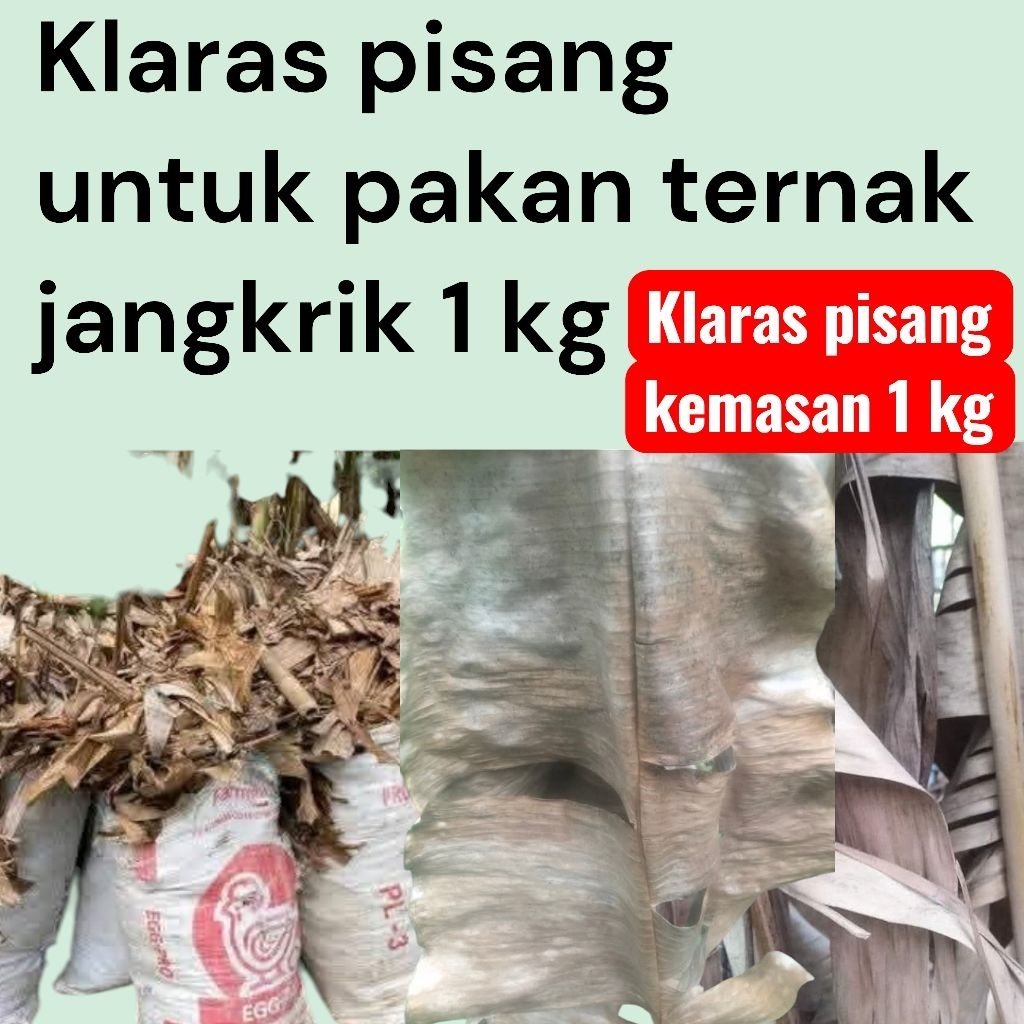 1 kg daun pisang kering/klaras untuk pakan jangkrik harga murah bisa cod