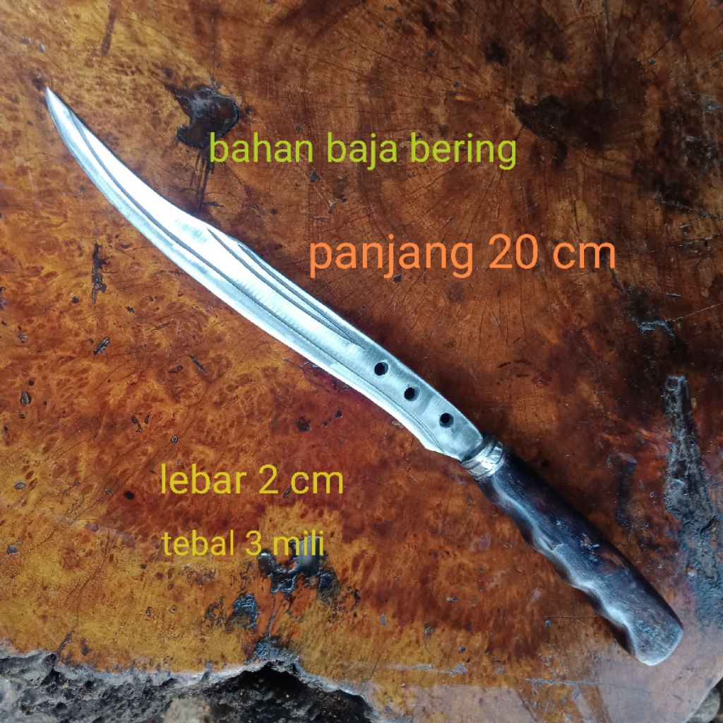 Pisau Dapur Tajam dan Awet dari Baja bering