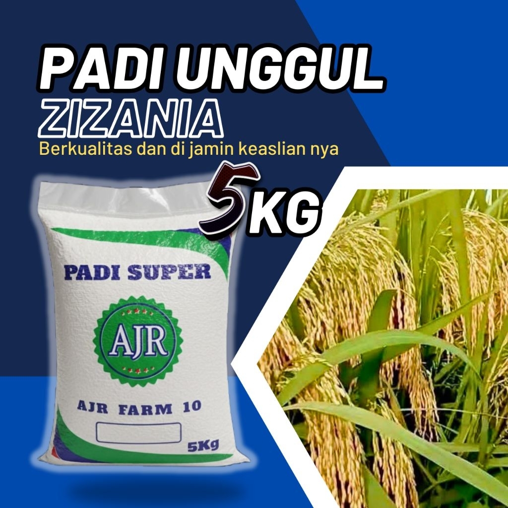 benih padi unggul ZIZANIA  original 5kg