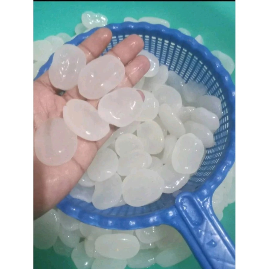 1 kg  Kolang Kaling CARULUK Muda Fresh Original