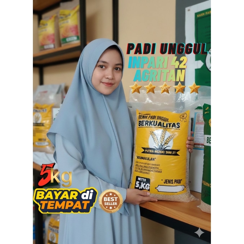 Benih padi unggul berkualitas Inpari 42 agritan (112 Hst)