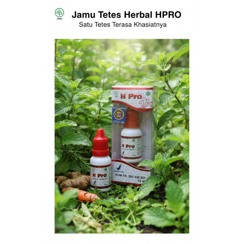 JAMU TETES H PRO JAMU TETES HERBAL BERBAGAI GANGGUAN KESEHATAN TUBUH