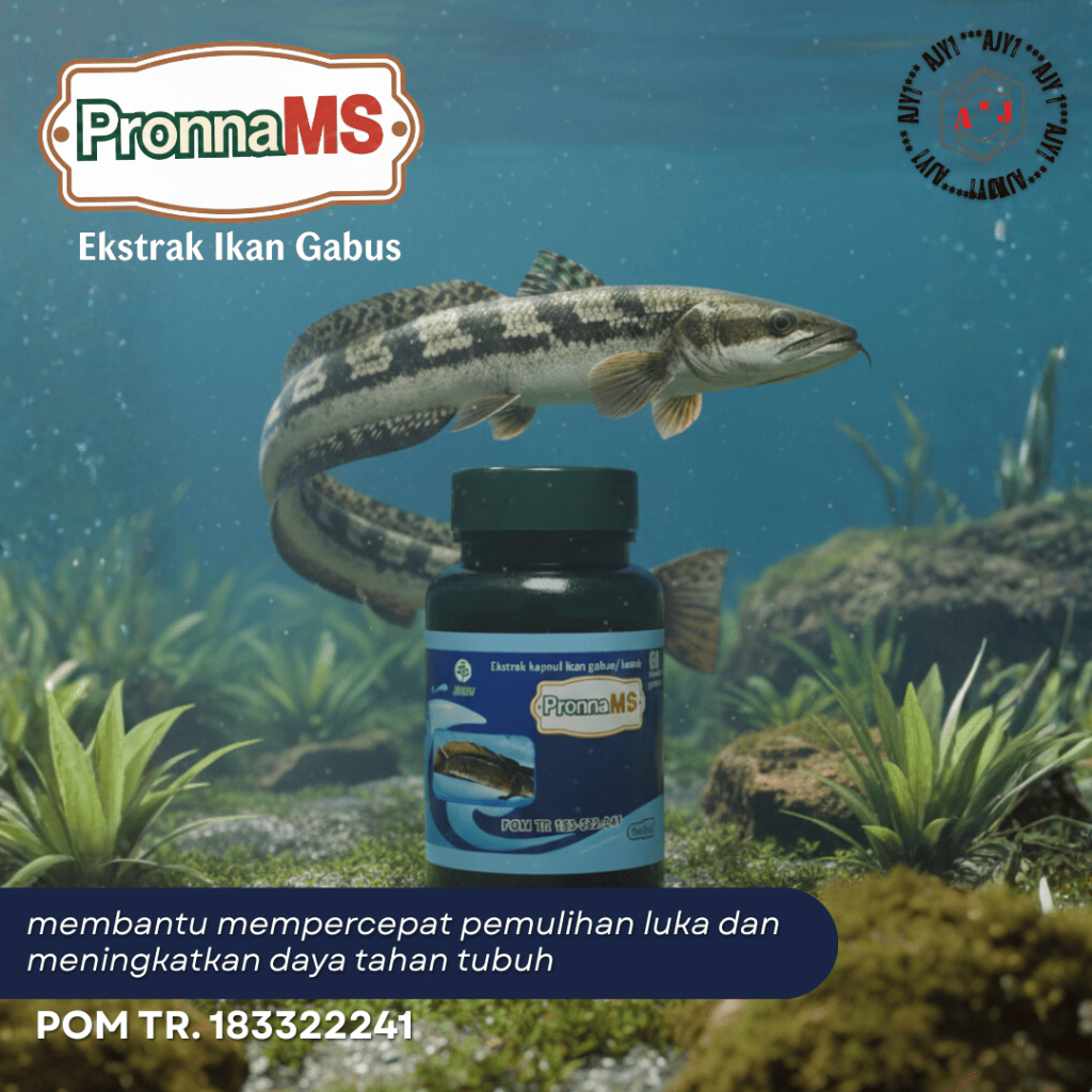 Kapsul Extrak Ikan Gabus @ 60 / Kapsul Kutuk Pronna MS / Kapsul Kutuk / Kapsul Ikan Gabus @ 60