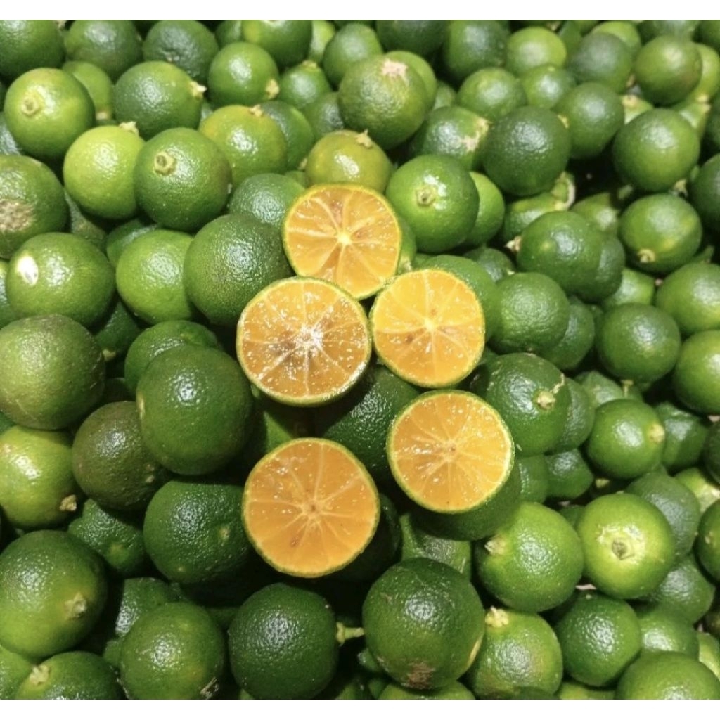 1kg jeruk songkit/jeruk kunci/fresh