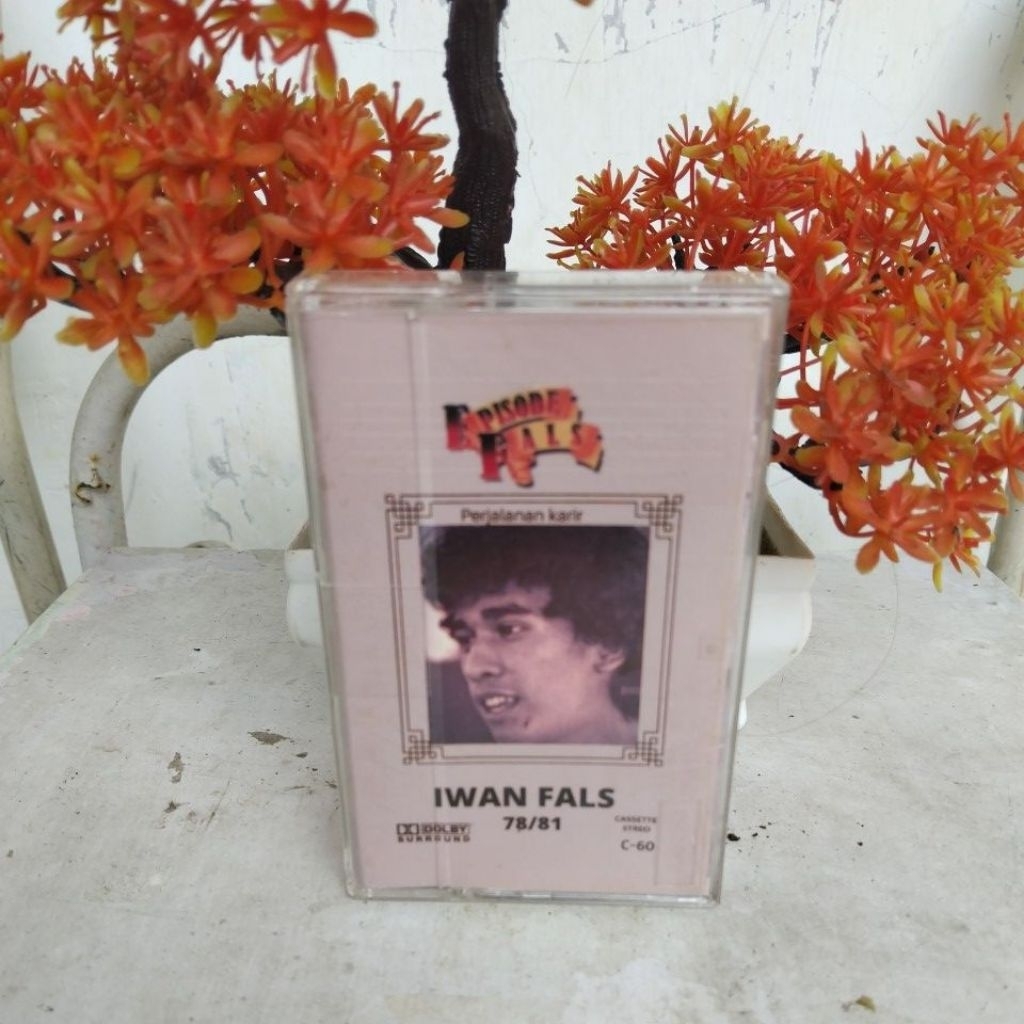 KASET PITA IWAN FALS