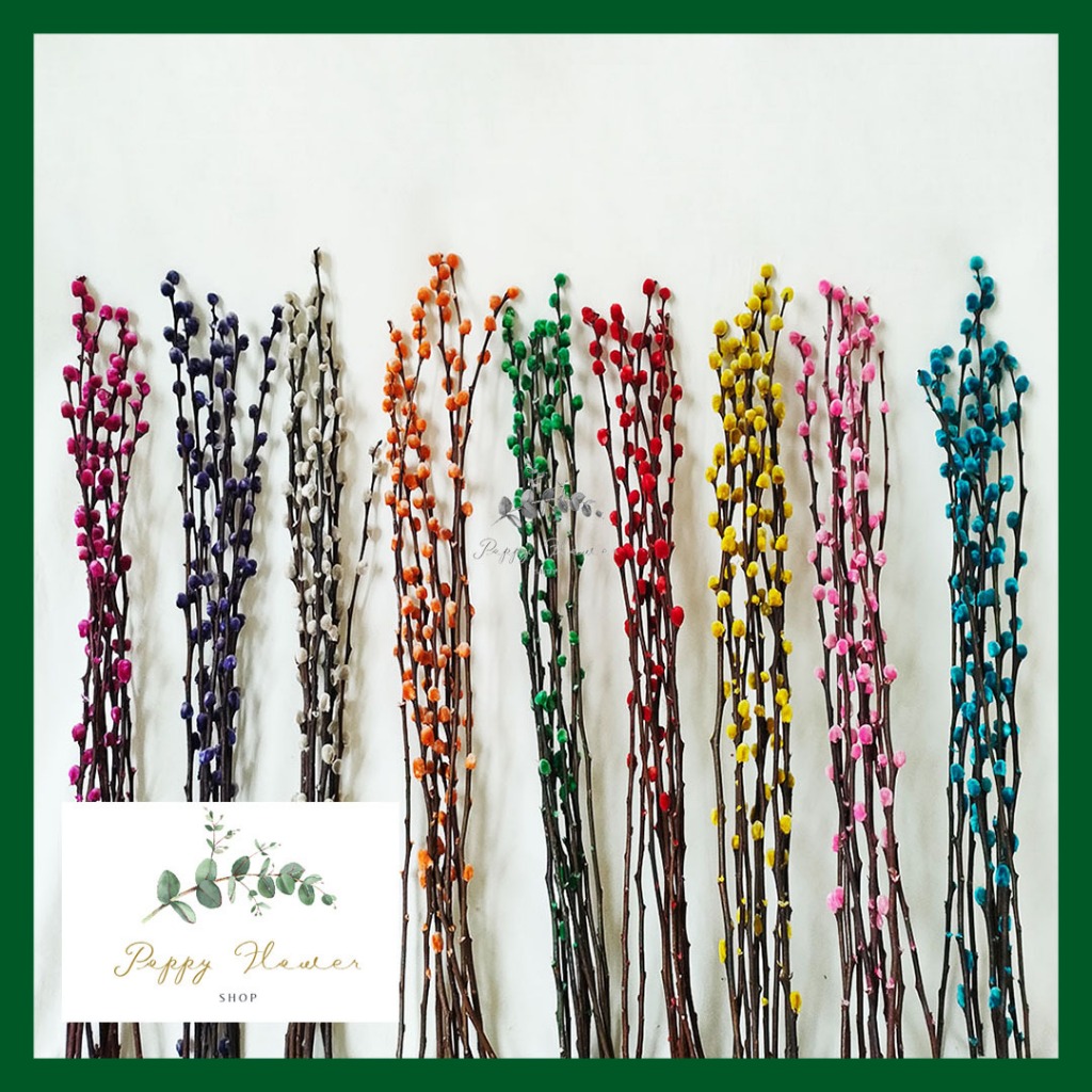 (PACKING AMAN 100% QUALITY BAGUS)  (9pcs) Dried Pussy Willow 2023 Bunga Imlek Dekorasi Chinese New Y