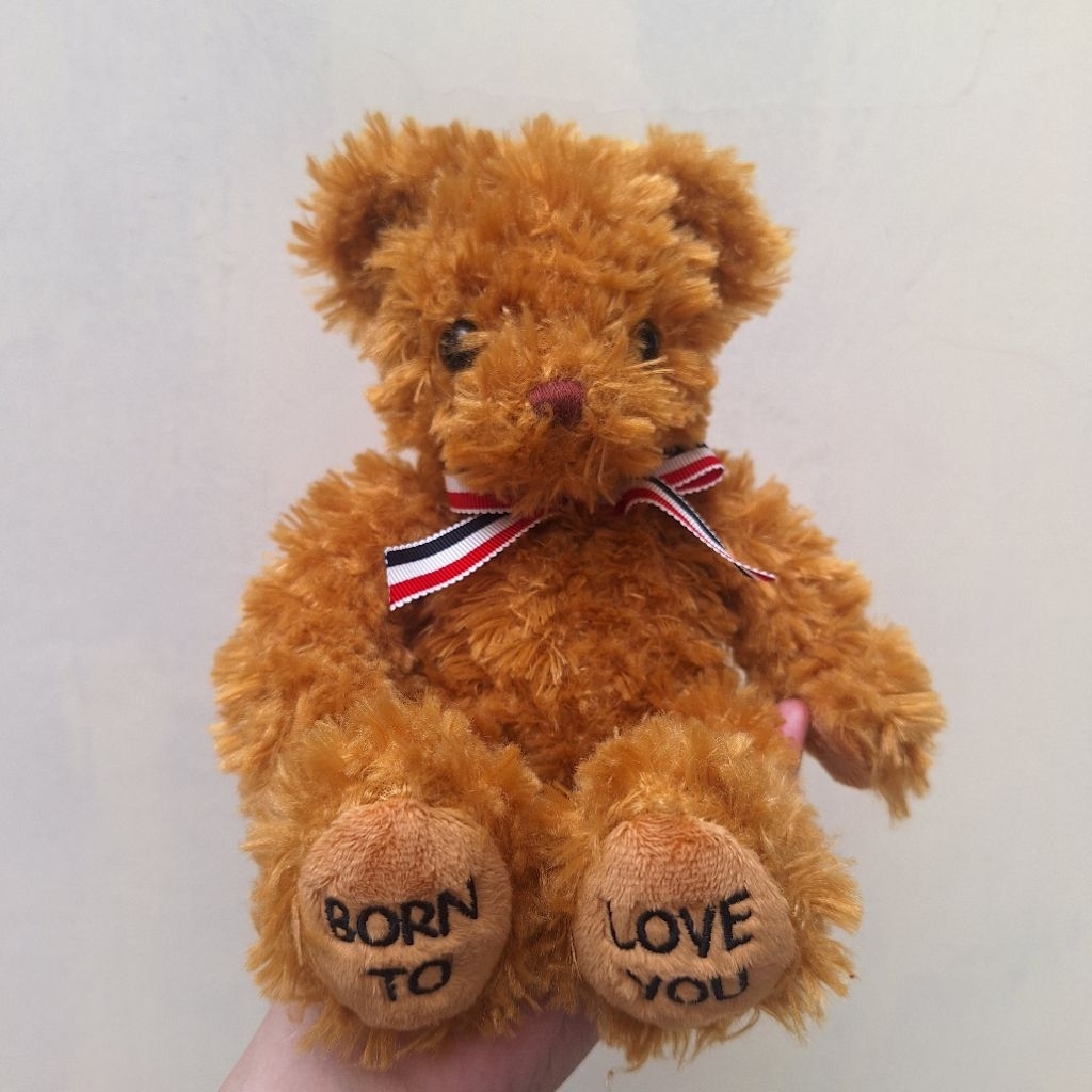 Preloved Teddy Bear Coklat cantik tangan magnet ada tulisan bordir di kaki Born To Love You
