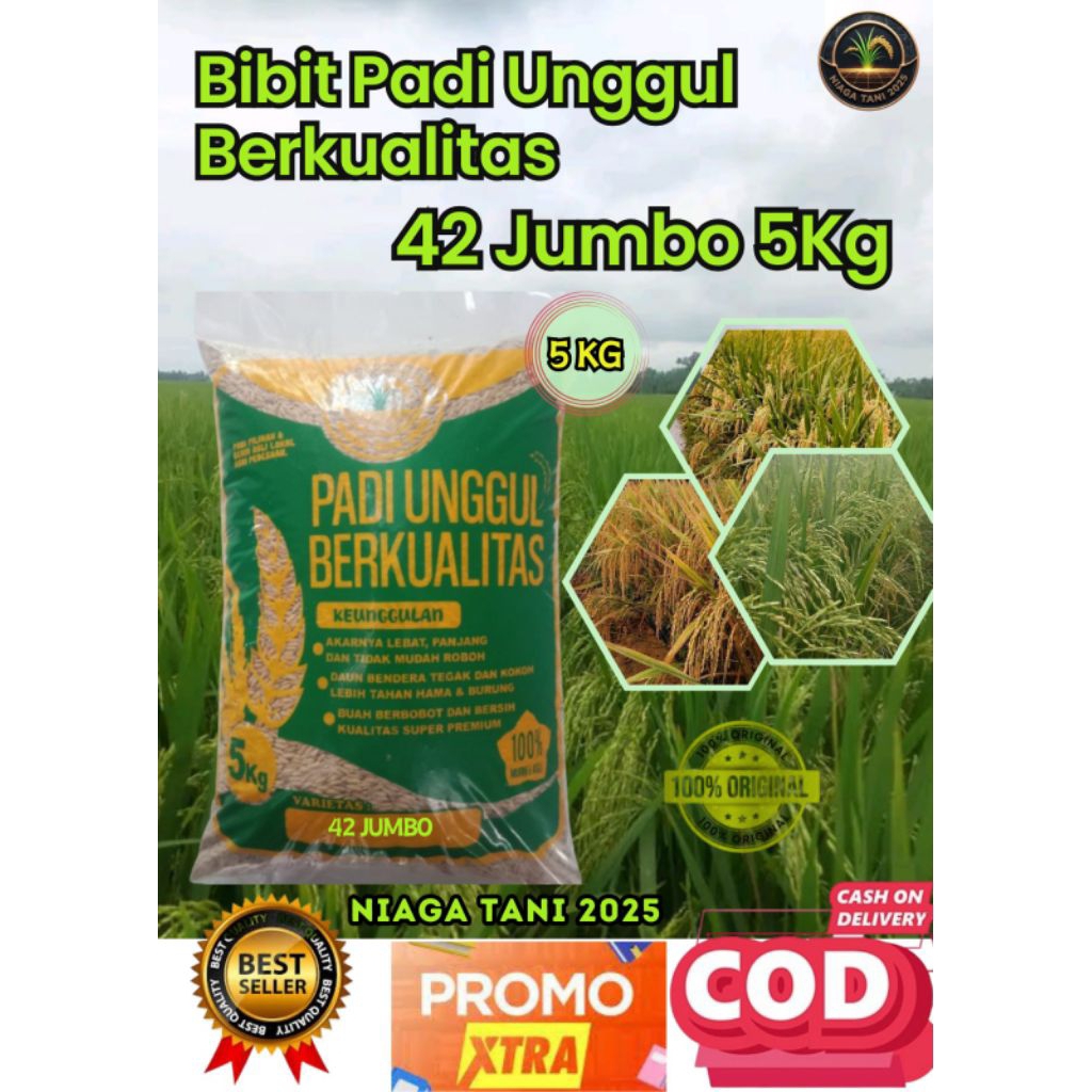 padi unggul inpari 42 jumbo