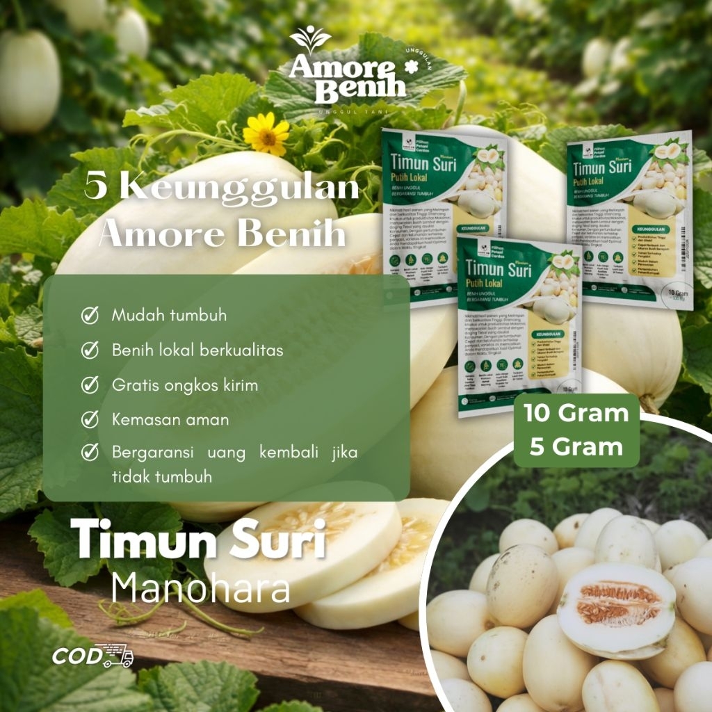 Benih Bibit Timun Suri Super Unggul - Kemasan 10 gr & 5 gr - Biji Timun Suri Wangi & Pulen