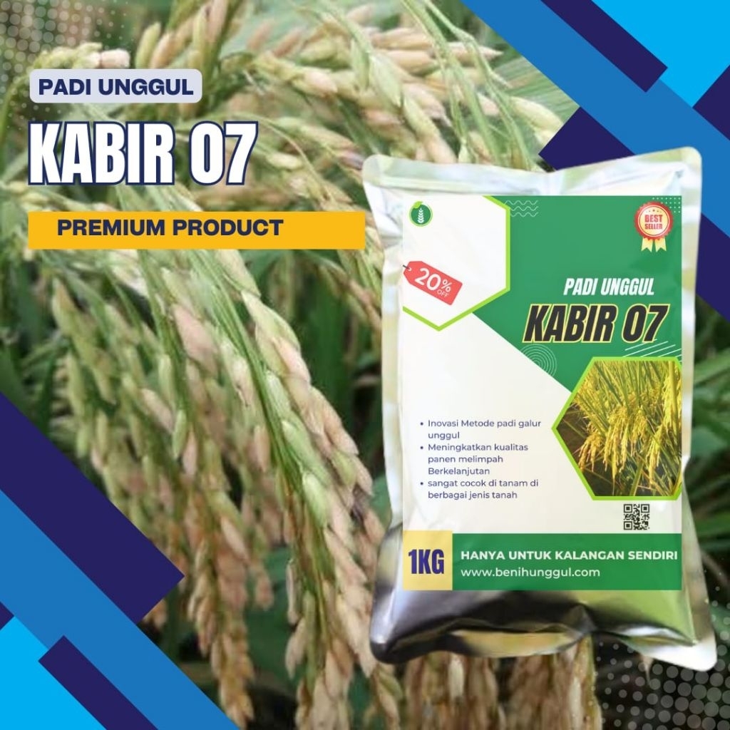 Bibit Padi KABIR 07 -1kg Original Varietas Padi Inbrida Hasil Optimal