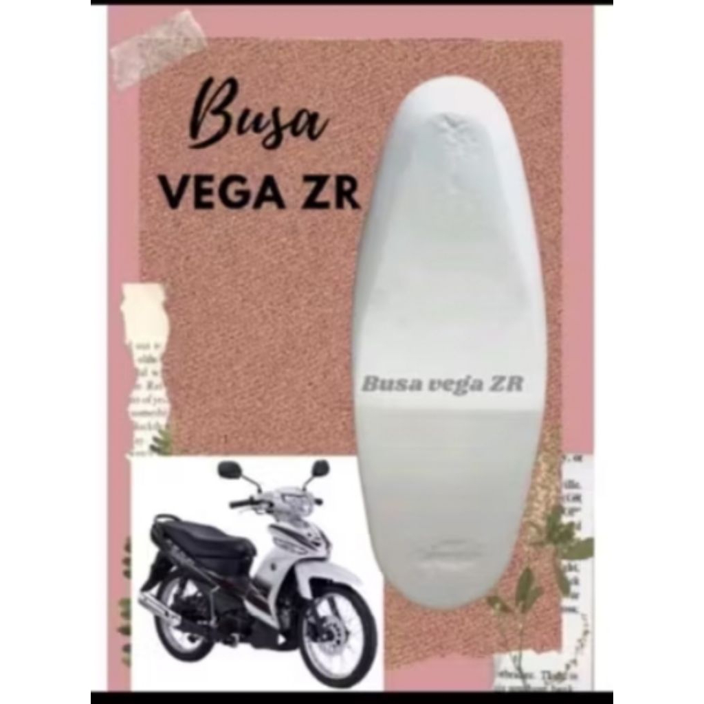 busa jok vega zr vega rr