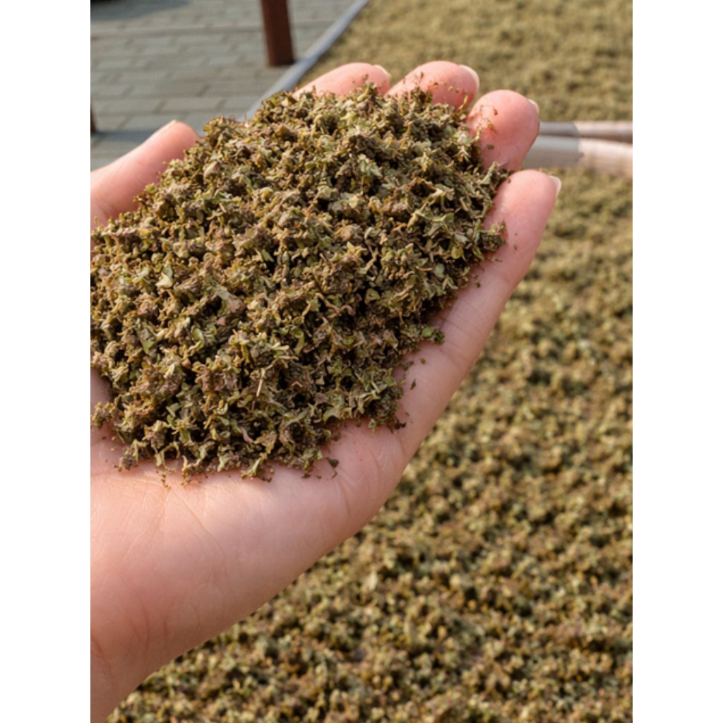 SUPER Azolla Kering 100% | Azolla Microphylla Kering Bahan Pupuk Organik & Tepung Pellet