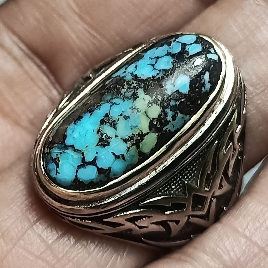Pirus persia biru tosca lawsan