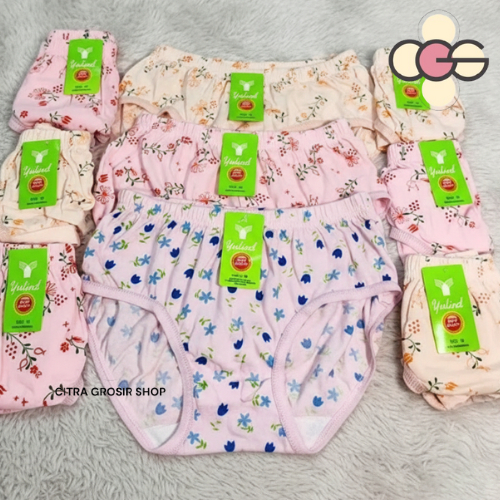 CD Yutind  CD Wanita Dewasa Bahan Katun 1PCS  Motif Celana Dalam Yutind Sablon Yutind Bordir Size M 